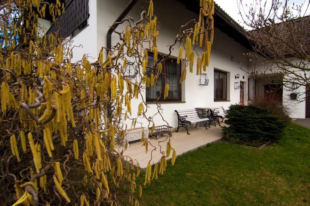 Tatobity Apartmany Pod Kozakovem מראה חיצוני תמונה